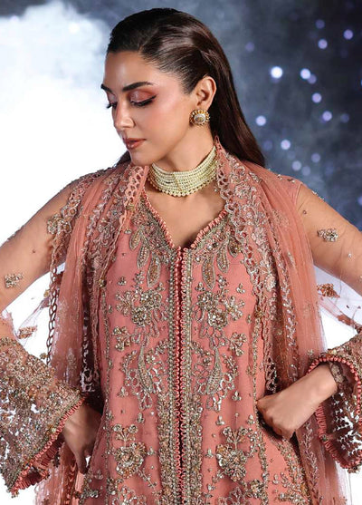 Stardom by Elaf Unstitched Luxury Formals Embroidered Net 3 Piece Suits  EL25SF D-ESH-05 Beyond Beauty - Formal Collection