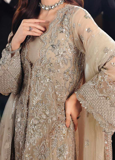 Stardom by Elaf Unstitched Luxury Formals Embroidered Organza 3 Piece Suits  EL25SF D-ESH-08 Star Dust - Formal Collection