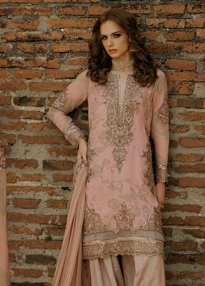 Vasal by Charizma Chiffon Luxury Unstitched Collection 2025 VSL25-01