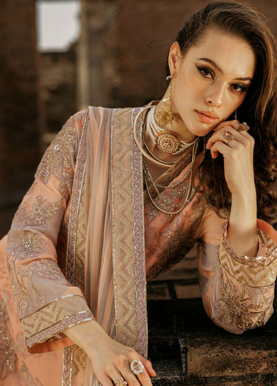 Vasal by Charizma Chiffon Luxury Unstitched Collection 2025 VSL25-05