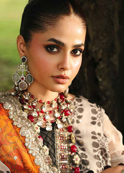 Vasal by Charizma Embroidered Chiffon Suits Unstitched 4 Piece CRZ25VC VSL25-30
