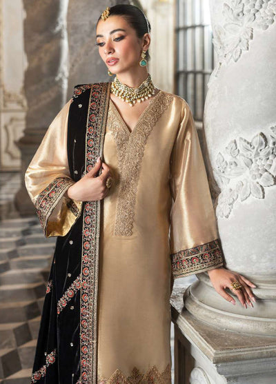 Zainab Chottani Unstitched Velvet Collection 2024 D-04 Minha