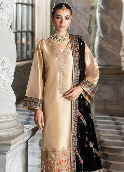 Zainab Chottani Unstitched Velvet Collection 2024 D-04 Minha