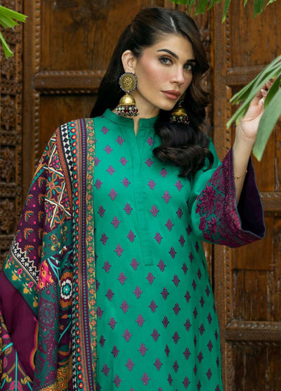 Zainab Chottani Unstitched Winter Shawls Collection 2024 D-08 Esha