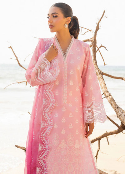 Zainab Chottani Chikankari Luxury Unstitched Collection 2024 D-8B Amyra