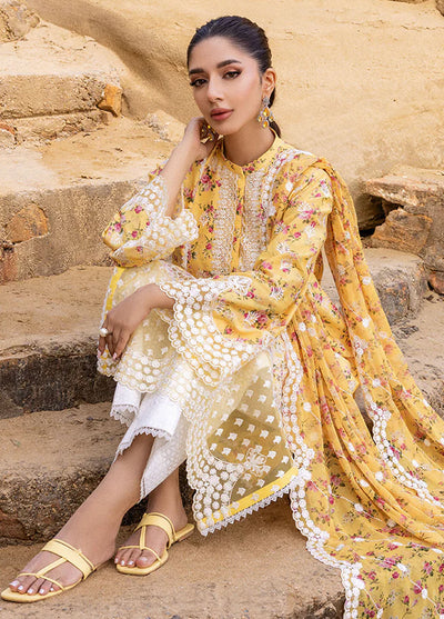 Zainab Chottani Chikankari Luxury Unstitched Collection 2024 D-9B Esme