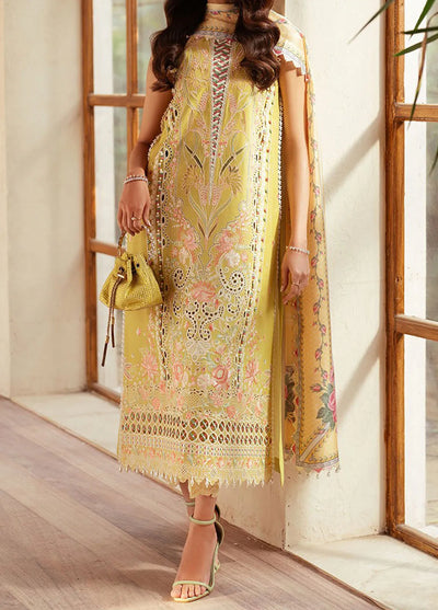 Mehroze by Bin Ilyas Embroidered Lawn Suit Unstitched 3 Piece BI25MS 97 B