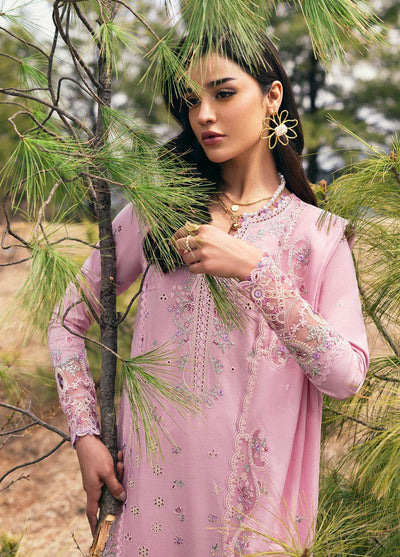 Qlinekari by Qalamkar Embroidered Lawn Suits Unstitched 3 Piece QLM25QK DC-02 Freja