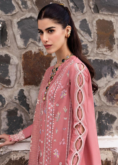 Qlinekari by Qalamkar Embroidered Lawn Suits Unstitched 3 Piece QLM25QK DC-03 Moya