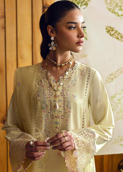 Qlinekari by Qalamkar Embroidered Lawn Suits Unstitched 3 Piece QLM25QK DC-04 Keva