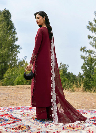 Qlinekari by Qalamkar Embroidered Lawn Suits Unstitched 3 Piece QLM25QK DC-06 Aila