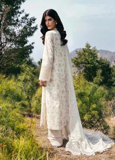 Qlinekari by Qalamkar Embroidered Lawn Suits Unstitched 3 Piece QLM25QK DC-13 Miri