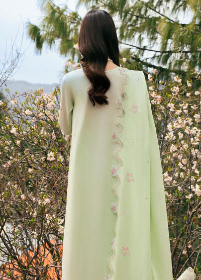 Qlinekari by Qalamkar Embroidered Lawn Suits Unstitched 3 Piece QLM25QK DC-14 Meline