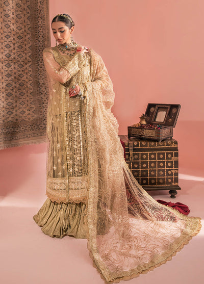 AIK Atelier Wedding Festive Luxury Unstitched Collection 2023 Look 03