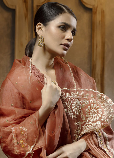 Dhanak Luxury Pret Jacquard 2 Piece Suit DA-2075 RUST