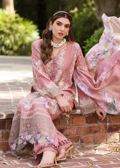 Elaf Festive Chikankari Collection 2023 ECF-11B