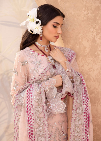 Elanora By Nureh Embroidered Chiffon Collection 2023 NEL-21