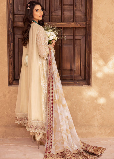 Elanora By Nureh Embroidered Chiffon Collection 2023 NEL-23