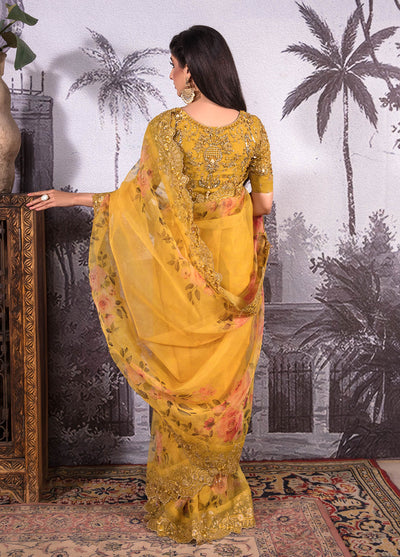 Jahan Aara By Nayab Unstitched Saree Collection 2023 NS-004 Kayseriya