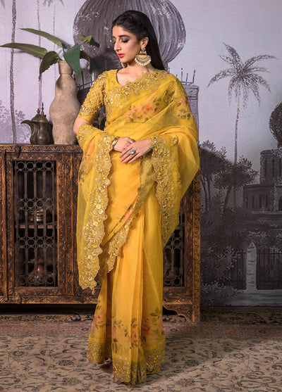 Jahan Aara By Nayab Unstitched Saree Collection 2023 NS-004 Kayseriya