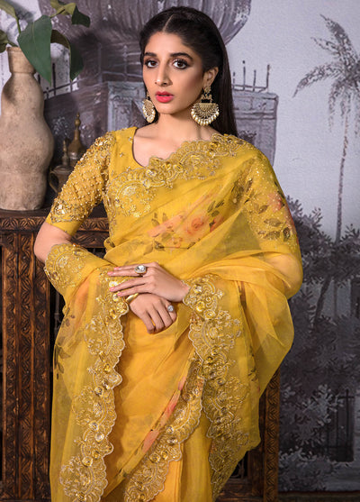 Jahan Aara By Nayab Unstitched Saree Collection 2023 NS-004 Kayseriya