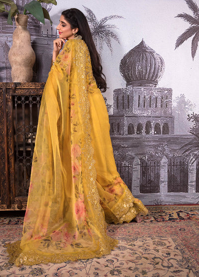 Jahan Aara By Nayab Unstitched Saree Collection 2023 NS-004 Kayseriya