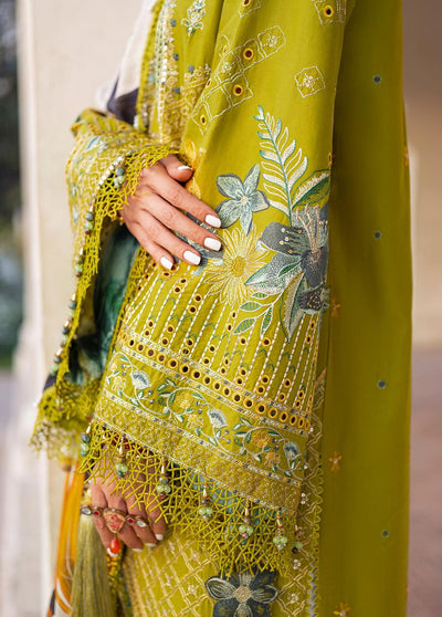 MNR Baad-e-Nau Bahaar Festive Eid Lawn Collection 2023 Tulsi