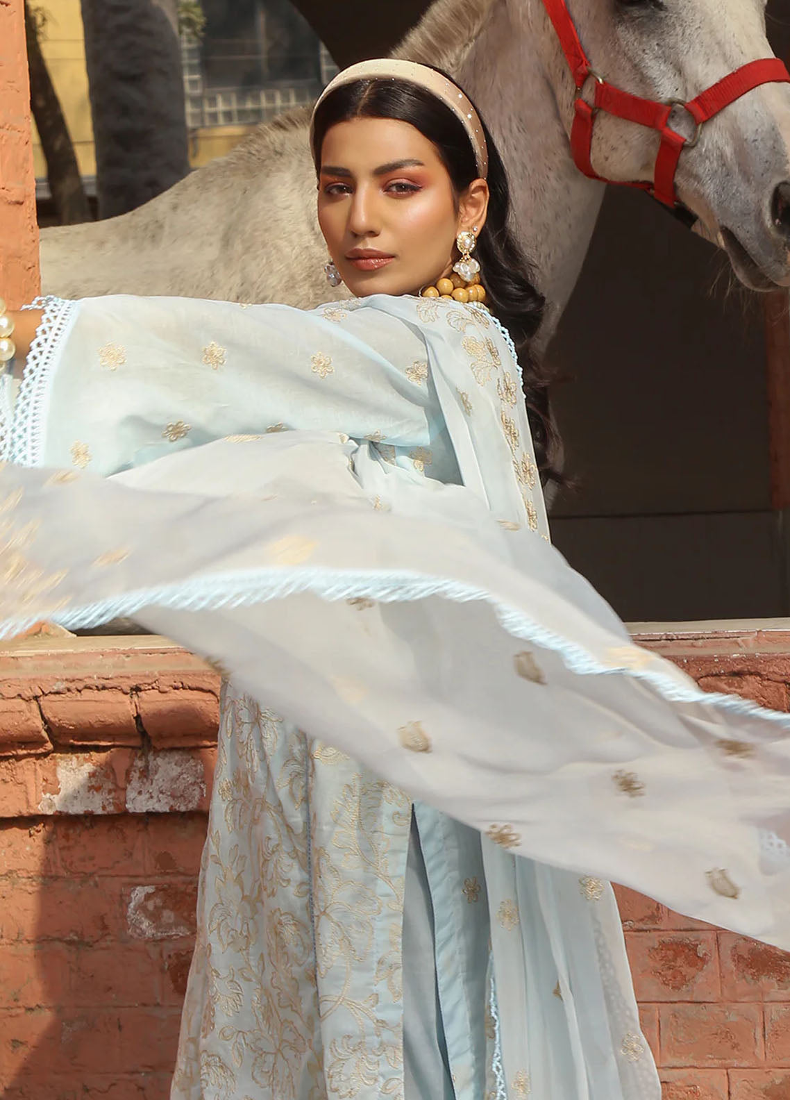 Mahnur Embroidered Lawn Suits Unstitched 3 Piece MN23L-V2 D-06 - Summer Collection