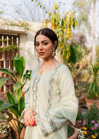 Naayas Embroidered Summer Lawn Collection NA23SL Debbagh mint