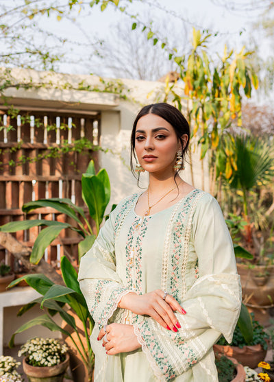 Naayas Embroidered Summer Lawn Collection NA23SL Debbagh mint