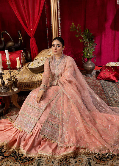 Nooraniyat By Bin Ilyas Luxury Festive Collection 2023 D-6023