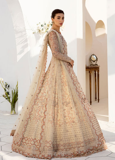 Nyra By Akbar Aslam Wedding Collection 2023 1463 Selene