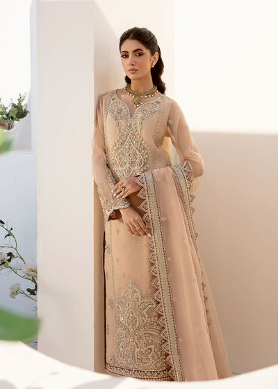 Nyra By Akbar Aslam Wedding Collection 2023 1469 Rene