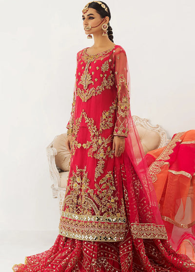 Raj Kumari By Mashq Unstitched Collection 2023 QFD0059 Jan-e-Ada