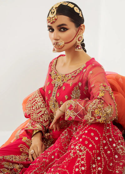 Raj Kumari By Mashq Unstitched Collection 2023 QFD0059 Jan-e-Ada