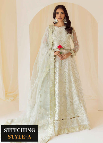 Rang-E-Mehr By Alizeh Fashion Embroidered Net Suits Unstitched 3 Piece AFB23RM Ghazal - Luxury Collection