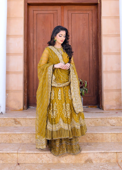 Raqs e Bismil by Lyla Luxury Formal Collection 2023 LY23RBS Design-03