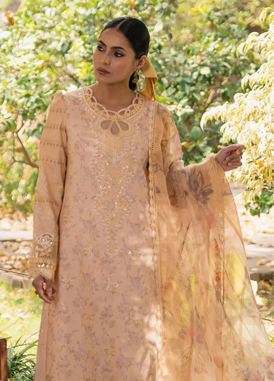 Shezlin By Aabyaan Chikankari Prints Collection 2023 AC-05 Alara