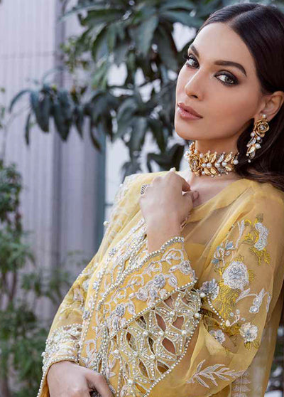 Tabassum Mughal Wedding Edition 2023 04 Morning Light