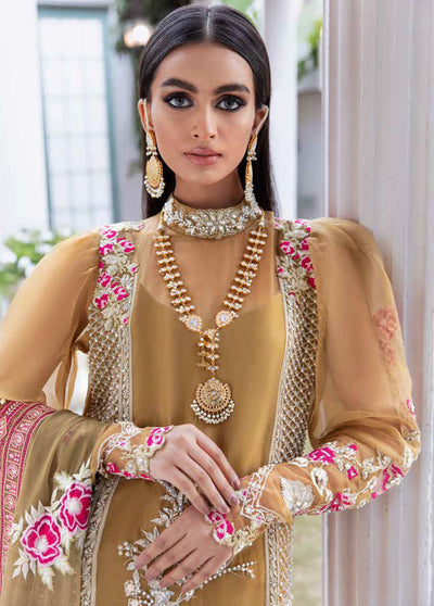 Tabassum Mughal Wedding Edition 2023 06 Bronze Mist