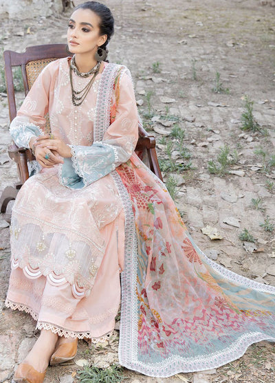 Tehzeeb By Riaz Arts Chikankari Lawn Collection 2023 TL-41