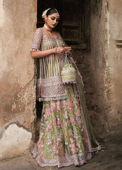 Tammam By Hussain Rehar Festive Unstitched Collection 2023 Safar